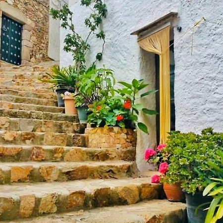 Lägenhet Apartamento Tossa De Mar