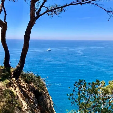 Lägenhet Apartamento Tossa De Mar *