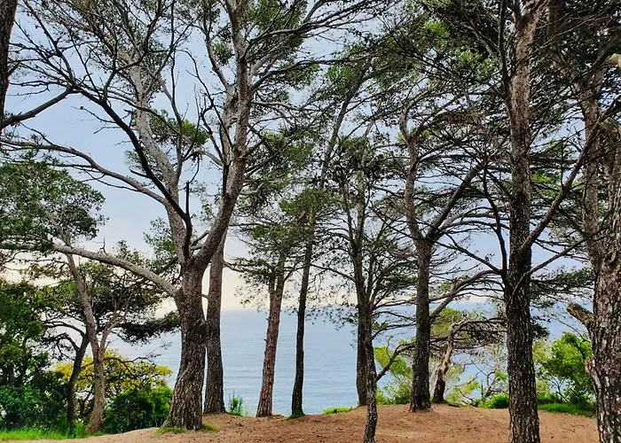 Apartamento Tossa De Mar 滨海托萨
