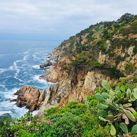 Apartment Apartamento Tossa De Mar Tossa de Mar