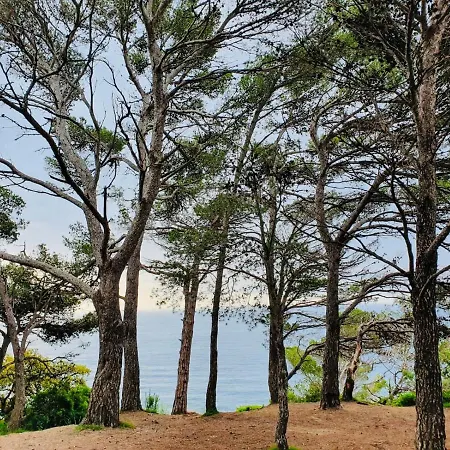 Apartamento Tossa De Mar Τόσα ντε Μαρ