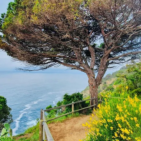 Apartamento Tossa De Mar * Tossa de Mar